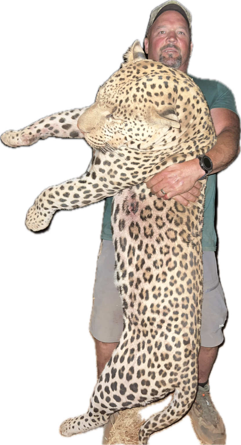 Leopard Hunting in Namibia – Leopard Legend